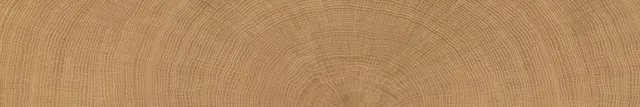 vtwonen Woodcirkle Woodcirkle Walnutt