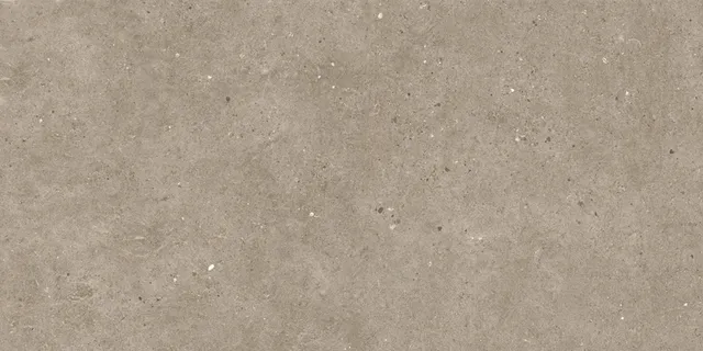 Italgraniti Silver Grain Taupe