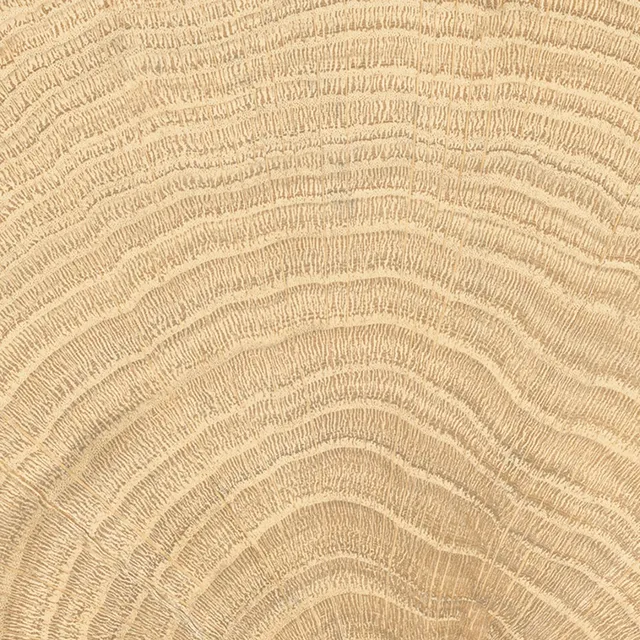 vtwonen Woodcirkle Woodcirkle Oak