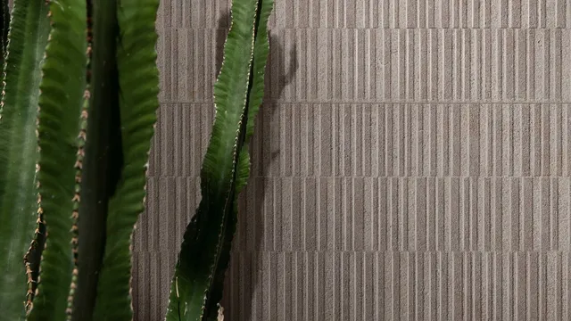  Naturalia