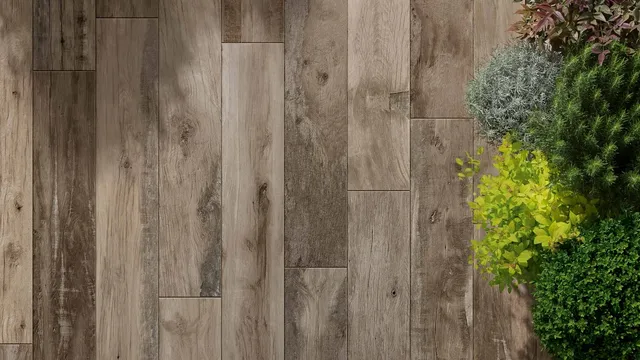 JOS. Woodmania