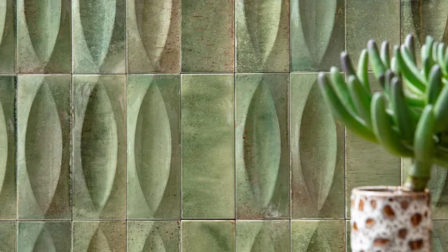 Ragno Gleeze sfeerfoto 9
