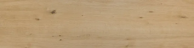 Ragno Woodtale Miele