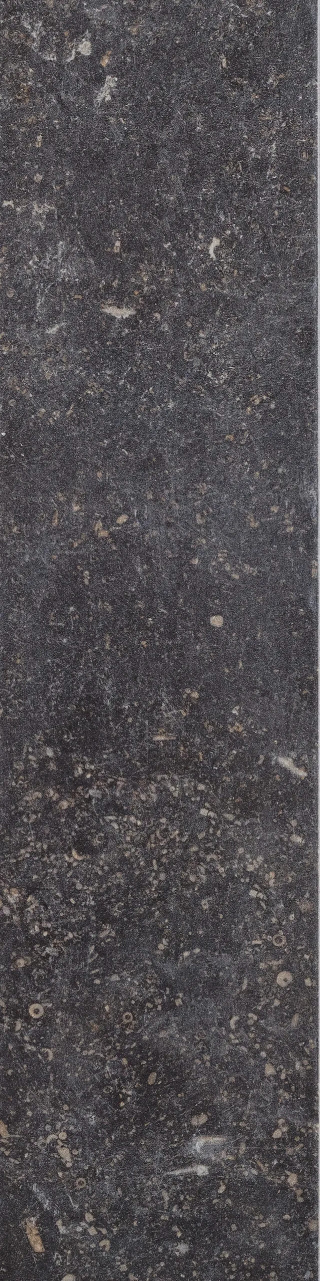 CIR Di Pietra Di Nero